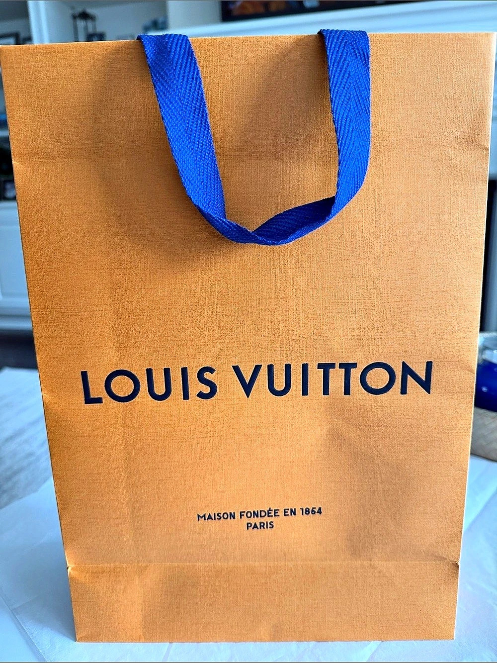 Louis Vuitton Orange Paper Shopping Bag Orange & Blue